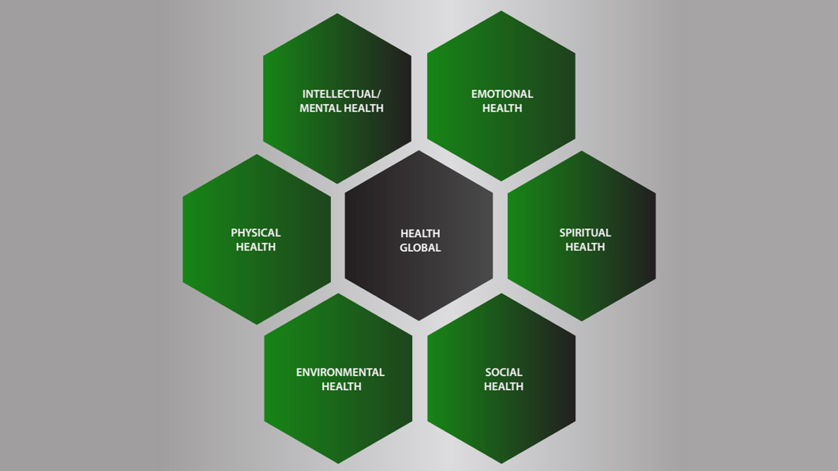 Health Hub